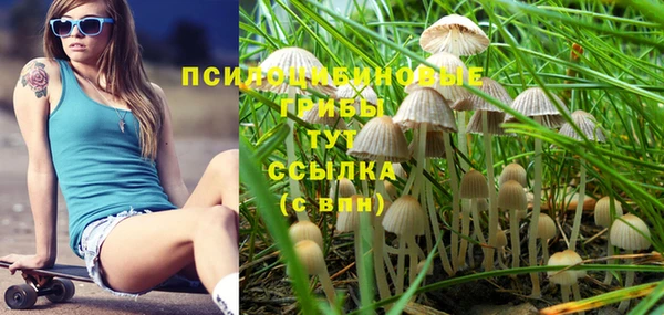 mdpv Балахна